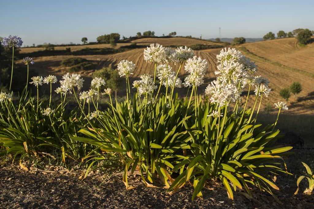 Monte Pedras Negras Vendégház São Luis Kültér fotó