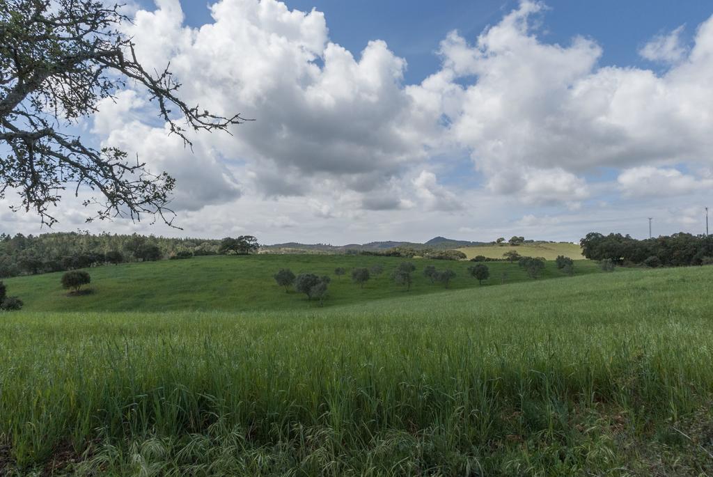 Monte Pedras Negras Vendégház São Luis Kültér fotó